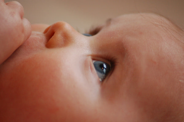 Beau yeux bleus de bébé